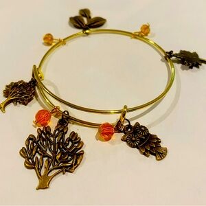 Bronze and goldtone charm bracelet